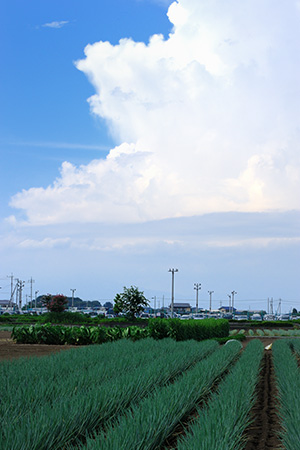 深谷市の端れ