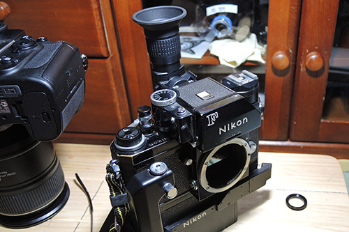 ♪D800EにアングルファインダーDR-5を|自堕落におれば涼しき ♪D800EにアングルファインダーDR-5を|自堕落におれば涼しき