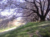 a5c75b81.JPG