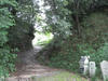 fa295f69.JPG