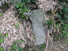 1ae92591.JPG