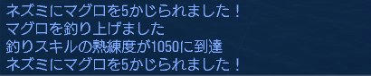 DOL00008.JPG