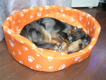 DSCN1016_050.JPG