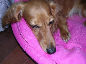 DSCN1117_025.JPG