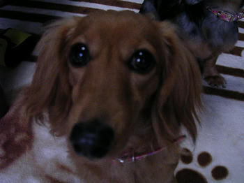 DSCN1373_045.JPG