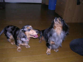 DSCN1474_050.JPG