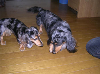 DSCN1476_050.JPG