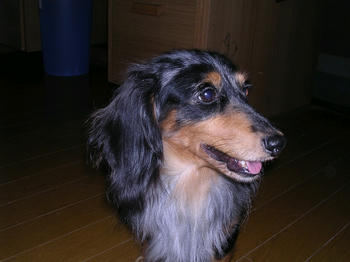 DSCN1479_050.JPG
