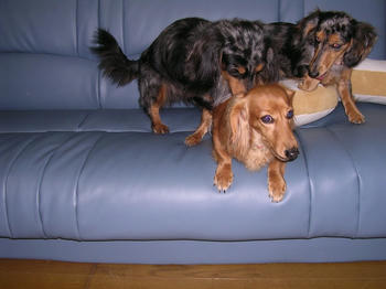 DSCN1480_050.JPG