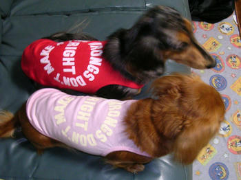 DSCN1642_050.JPG