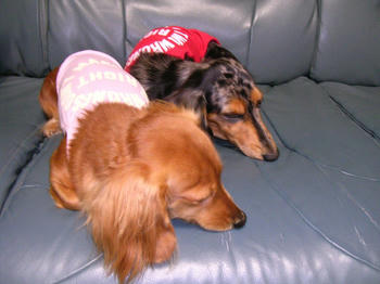 DSCN1643_050.JPG