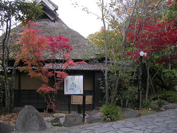 DSCN1654_050.JPG
