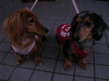 DSCN1684_050.JPG
