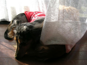 DSCN1706_050.JPG
