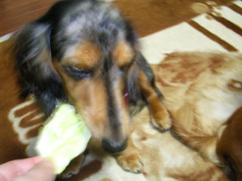 DSCN1729_050.JPG