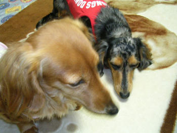 DSCN1751_050.JPG
