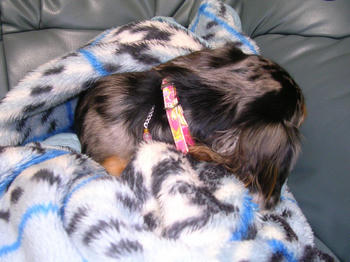 DSCN1788_050.JPG