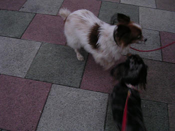 DSCN1806_050.JPG