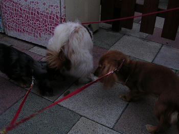 DSCN1808_050.JPG