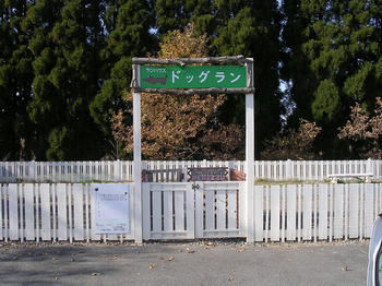 DSCN1880_050.JPG