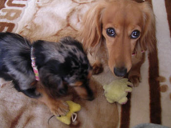 DSCN1901_050.JPG