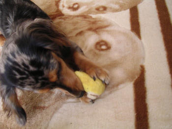 DSCN1926_050.JPG