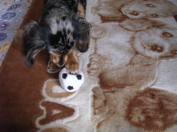 DSCN1942_050.JPG
