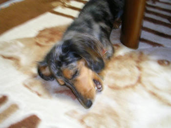 DSCN1955_050.JPG