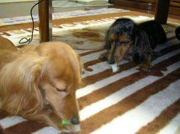 DSCN1968_050.JPG
