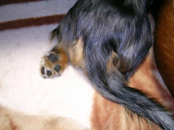 DSCN2028_050.JPG