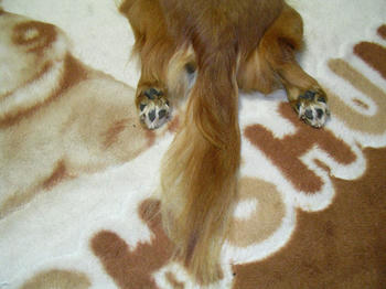 DSCN2033_050.JPG