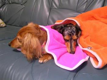 DSCN2039_050.JPG