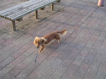 DSCN2045_050.JPG