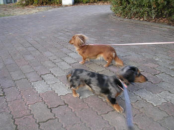 DSCN2068_050.JPG