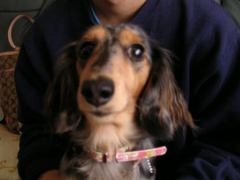 DSCN2114_050.JPG