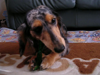 DSCN2115_050.JPG