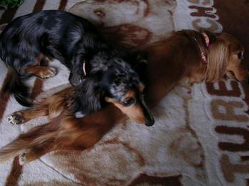 DSCN2135_050.JPG
