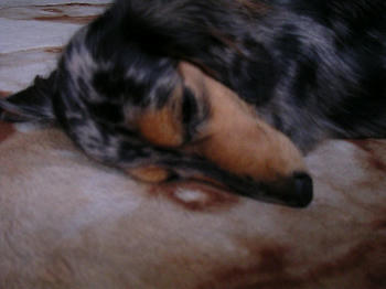 DSCN2149_050.JPG