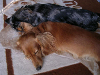 DSCN2151_050.JPG