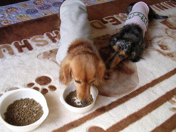DSCN2157_050.JPG