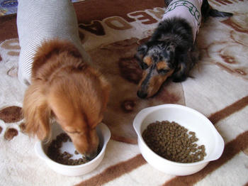 DSCN2160_050.JPG