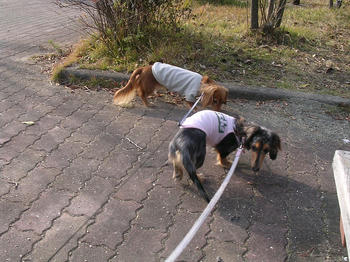 DSCN2237_050.JPG