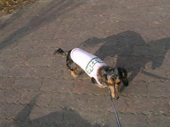 DSCN2257_050.JPG