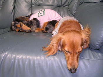 DSCN2301_050.JPG