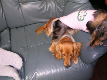 DSCN2311_050.JPG