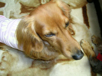 DSCN2378_050.JPG