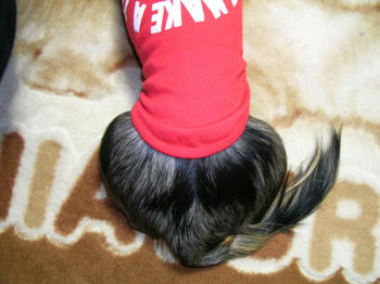 DSCN2379_050.JPG
