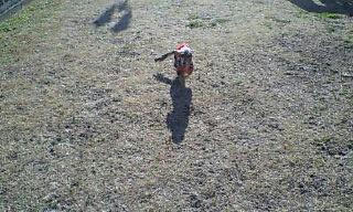 20071226144545.jpg