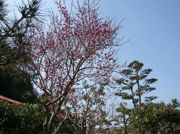 P1000635_025.JPG