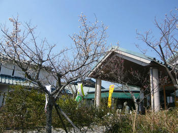 P1000643_025.JPG